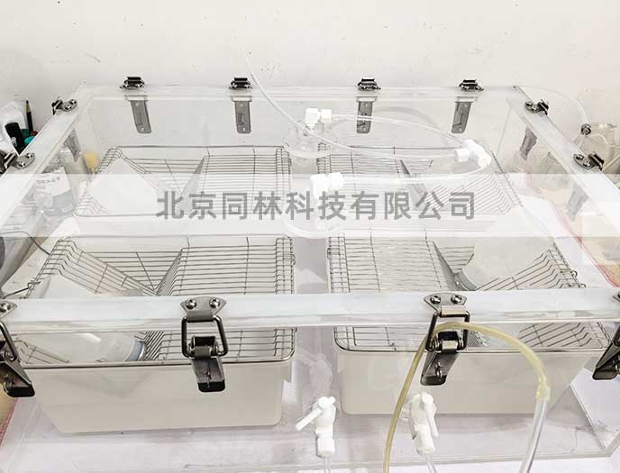 實驗室臭氧暴露染毒實驗模擬方法指南