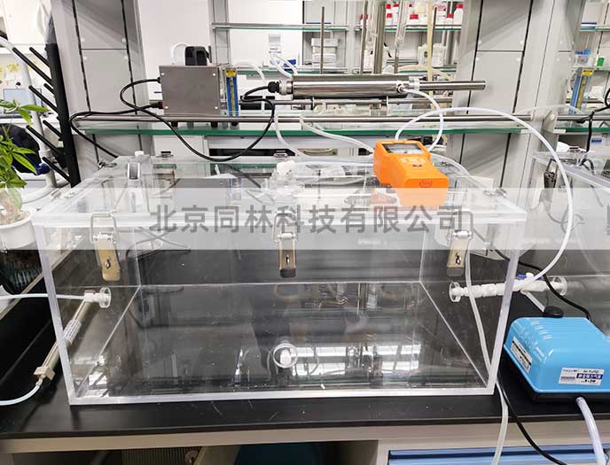 大鼠小鼠動(dòng)物臭氧染毒實(shí)驗(yàn)方案 大鼠小鼠動(dòng)物臭氧染毒實(shí)驗(yàn)方案